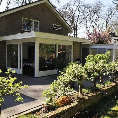 ベッド・アンド・ブレックファスト Porcini