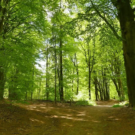 Porcini ベッド・アンド・ブレックファスト