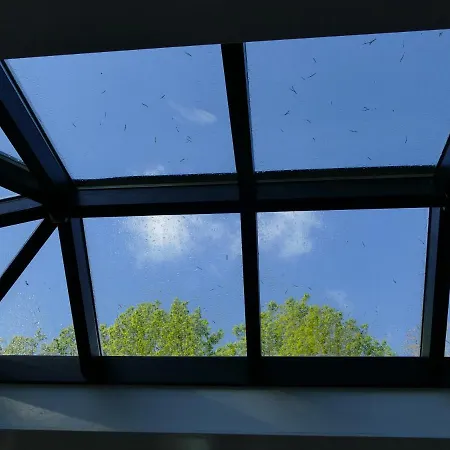 לינה וארוחת בוקר Porcini ארמלו