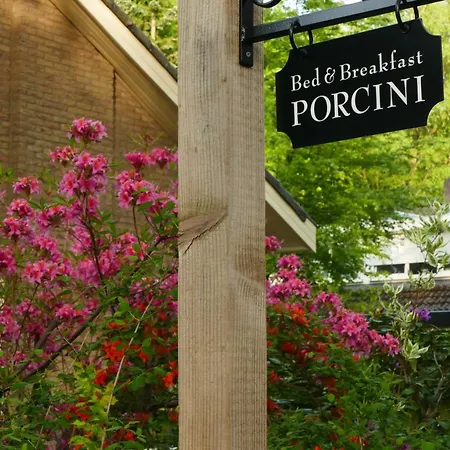 ベッド・アンド・ブレックファスト Porcini 4*