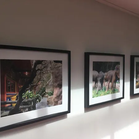 לינה וארוחת בוקר Porcini ארמלו