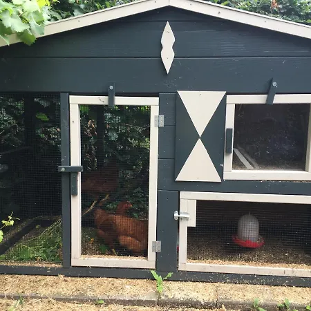 Porcini לינה וארוחת בוקר ארמלו