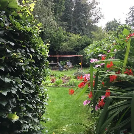 לינה וארוחת בוקר Porcini 4*