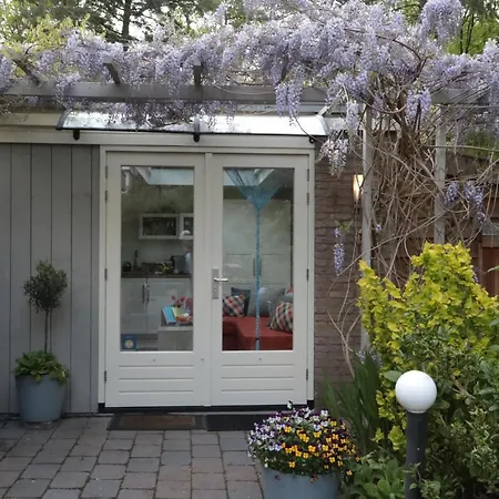 Porcini 4* エルメロ