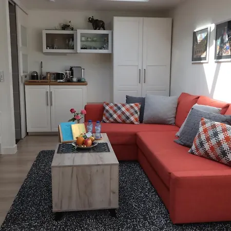 Porcini エルメロ