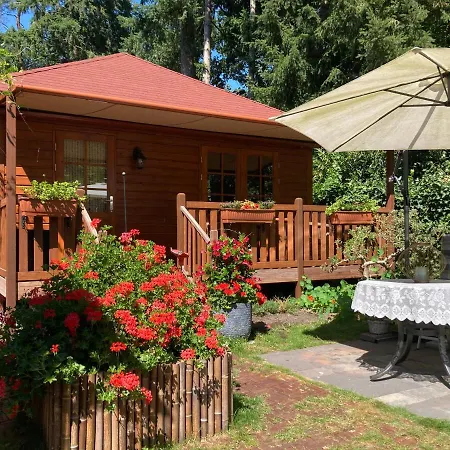 ベッド・アンド・ブレックファスト Porcini