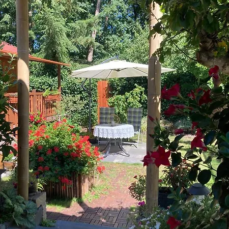 B&B Porcini 4*