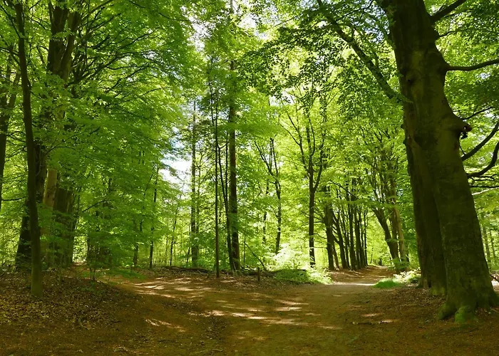 Porcini Frühstückspension