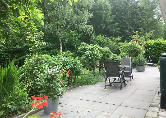 Porcini Эрмело