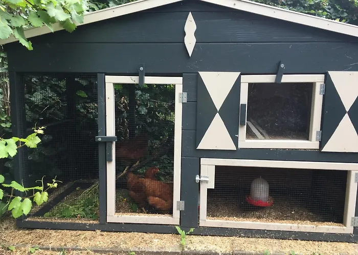 Porcini Отель типа 