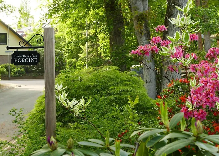 Porcini Отель типа 