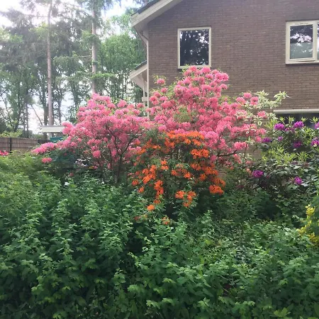 לינה וארוחת בוקר Porcini 4*