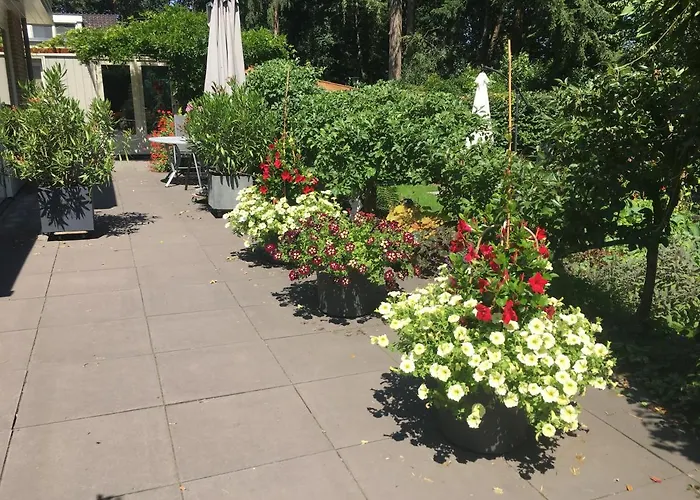 Porcini לינה וארוחת בוקר ארמלו