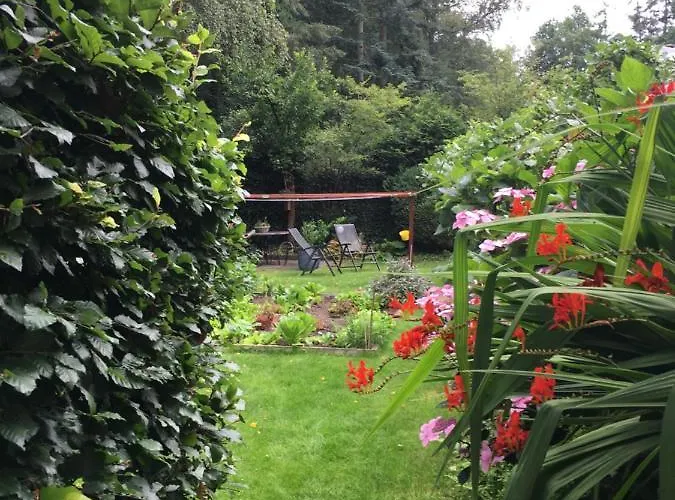 לינה וארוחת בוקר Porcini 4*